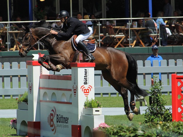 员肖金才开 员肖金才开