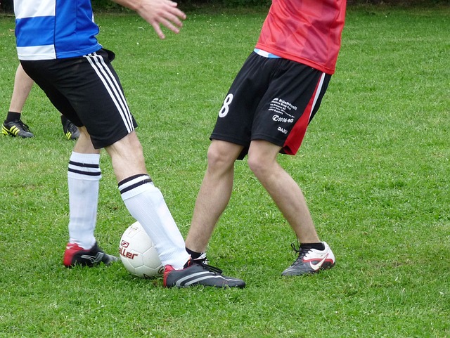 新的生命力 新的生命力