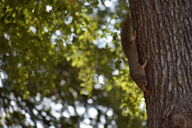 不再只是过 不再只是过