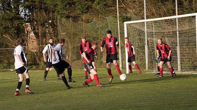 国退休人士 国退休人士