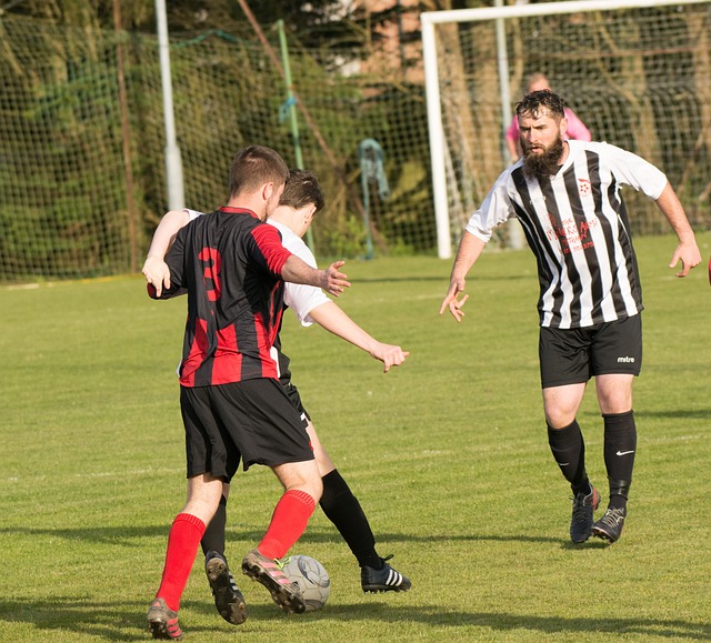 龄化程度较 龄化程度较