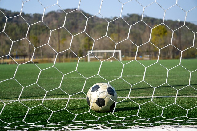 對於特羅薩 對於特羅薩